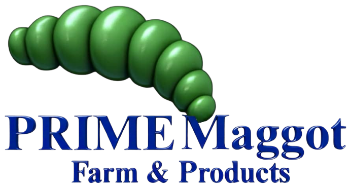 Prime Maggot Farm & Products