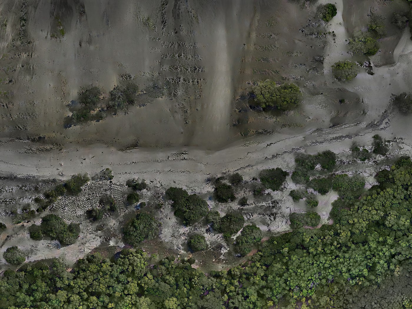 Aerial drone view of the Kunduchi mangrove restoration site near Dar es Salaam