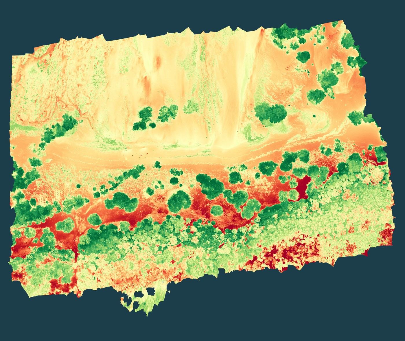 Kunduchi NDVI vegetation index, colourised red to green