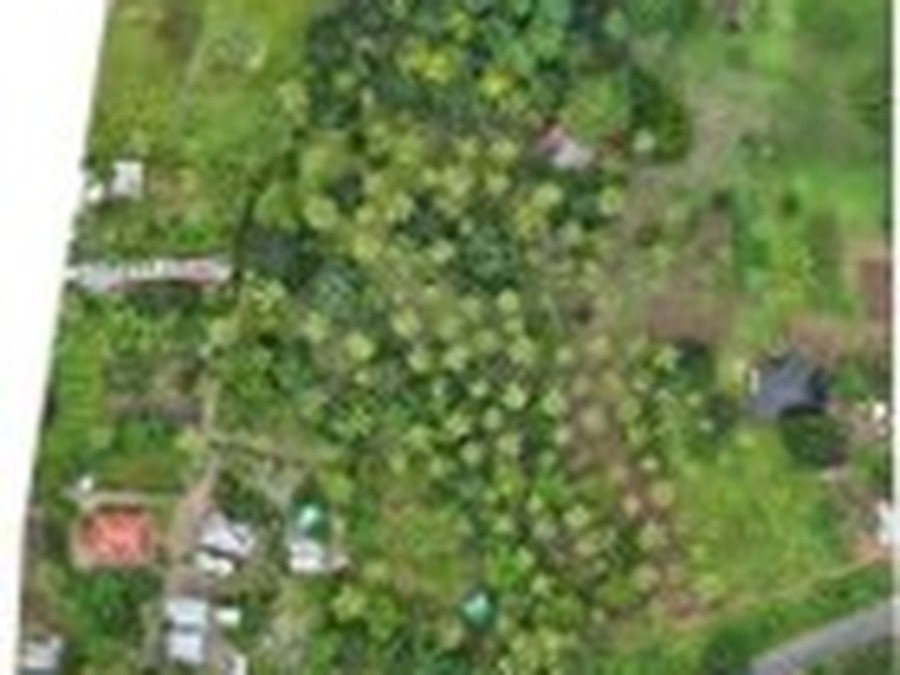 Drone orthomosaic of the Mvuti topographical survey site